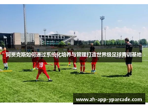 阿贾克斯如何通过系统化培养与管理打造世界级足球青训基地