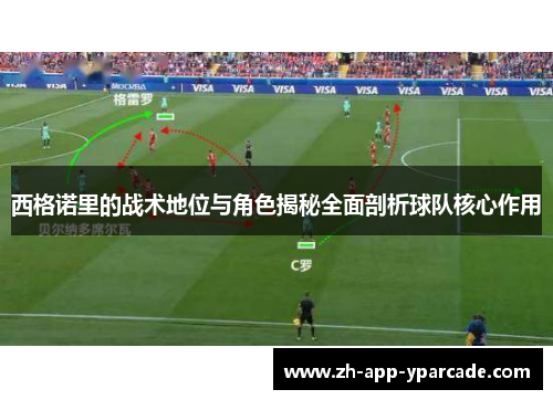 西格诺里的战术地位与角色揭秘全面剖析球队核心作用