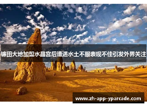 镰田大地加盟水晶宫后遭遇水土不服表现不佳引发外界关注