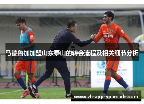 马德鲁加加盟山东泰山的转会流程及相关细节分析