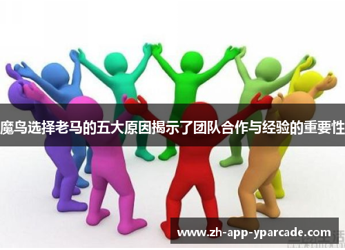 魔鸟选择老马的五大原因揭示了团队合作与经验的重要性